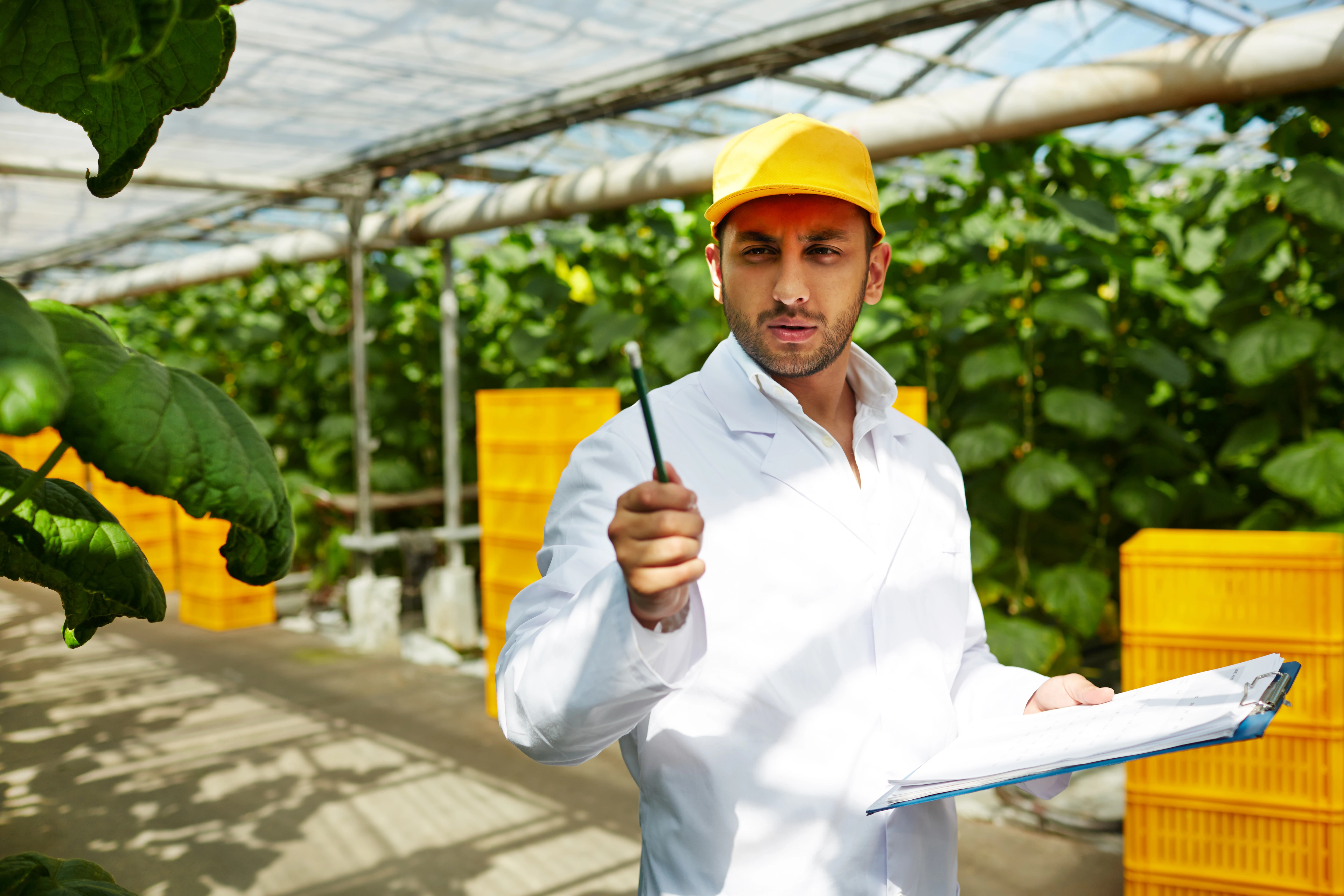 Certified Supply Chain