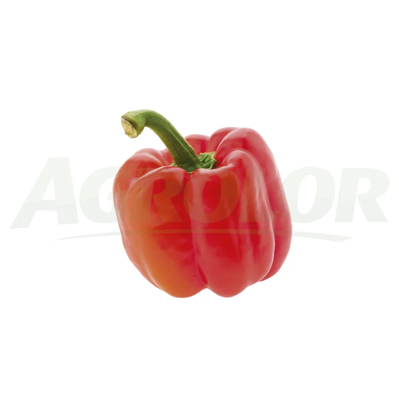 Red California Pepper