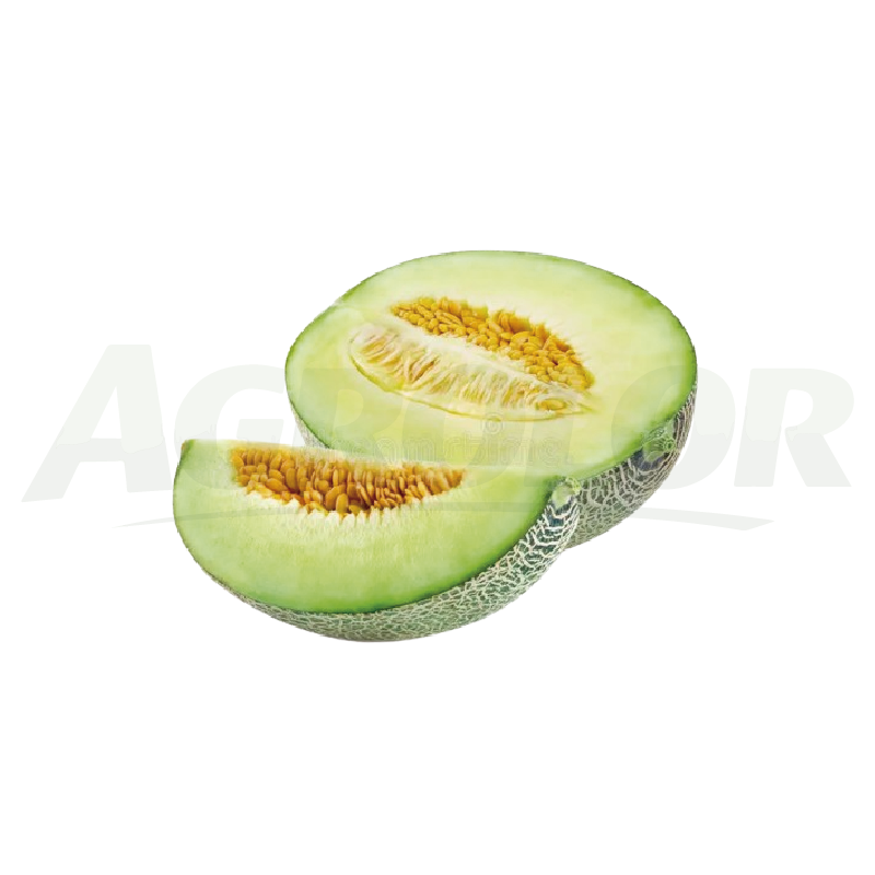 Melon